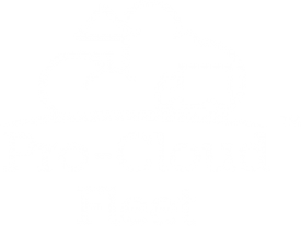 Pro-Cloud Fleet logo