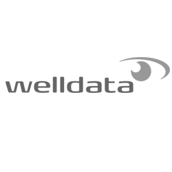 welldata logo